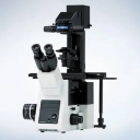 倒置荧光显微镜(OLYMPUS/IX73)