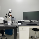 激光扫描共聚焦显微镜