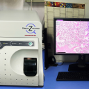 病理扫描分析系统